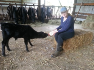 Vivian bottle feeding Samson the calf.