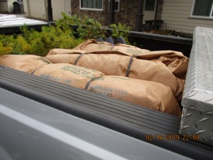Bags of seedlings in bed of pickup.