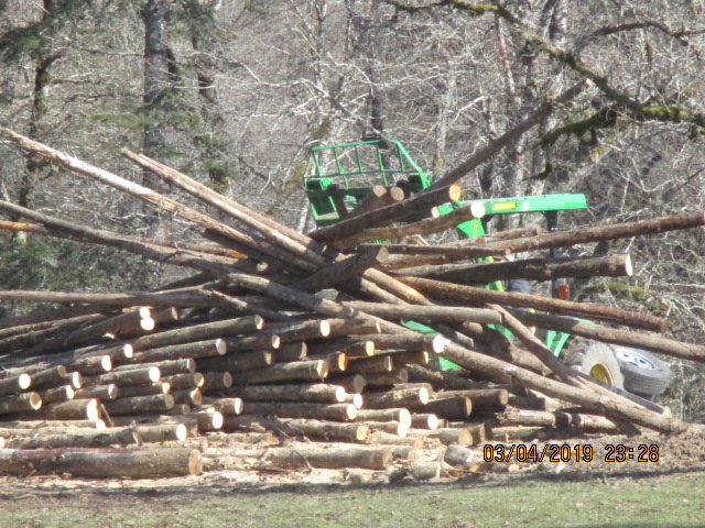 A green tractor repositioning logs in the pile.